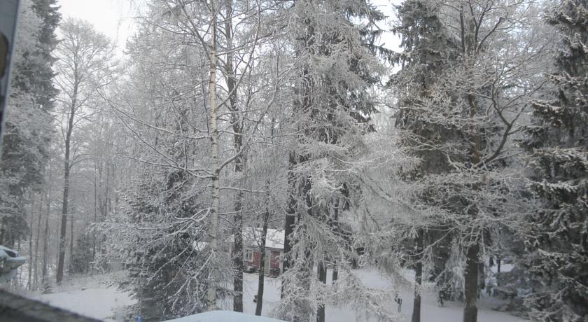 Neitsytniemen Kartano Imatra Room photo